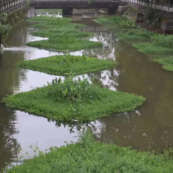 人工浮岛厂家上门施工诚信合作植物工程水体净化污水治理施工
