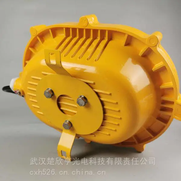 内场防爆灯BFC8120/300W 220V海洋王自配光源 仓库厂房防爆灯