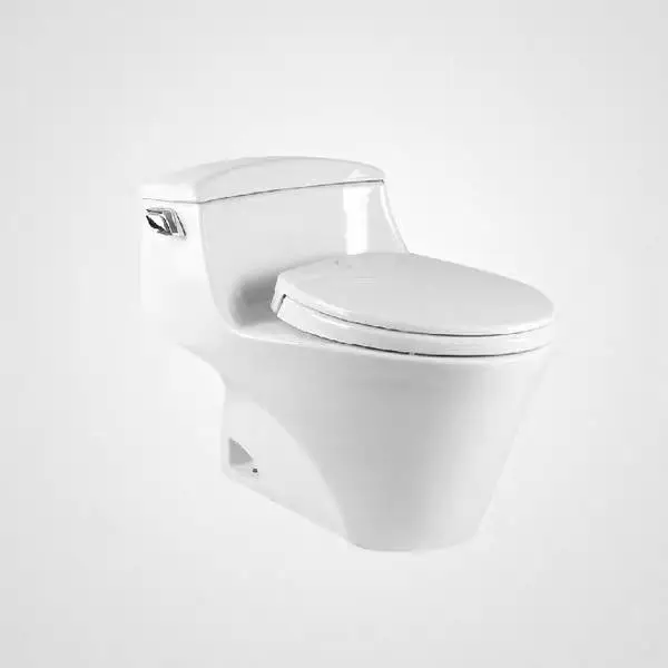 马桶座便器连体式坐便器 智洁釉面静音节水