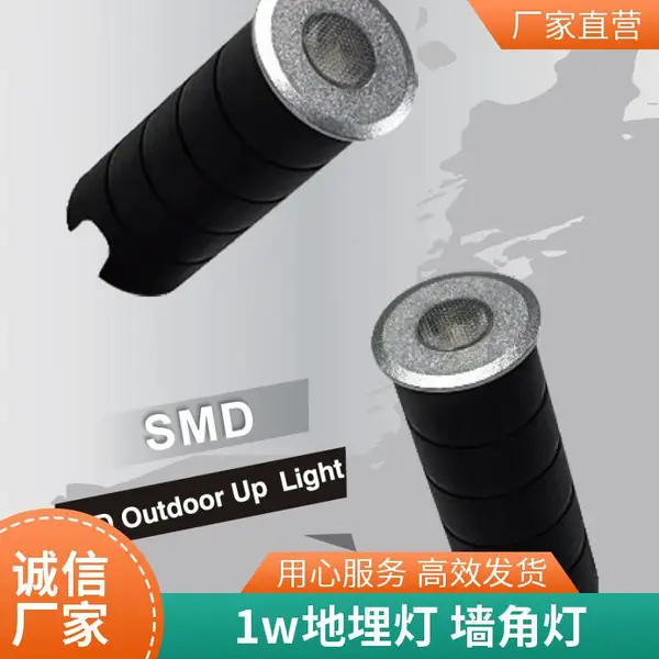 鑫诺澳 led mini 户外灌胶防水IP65 1w地埋灯 花园装饰满天星小射灯 220v市电台阶楼梯步道照明