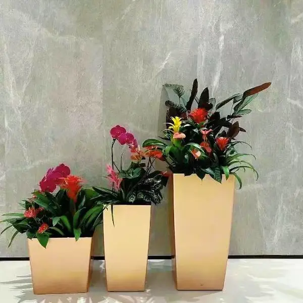 西安芬芳园艺花卉租赁，西安绿植租摆公司，西安办公室租花，西安企业租绿植