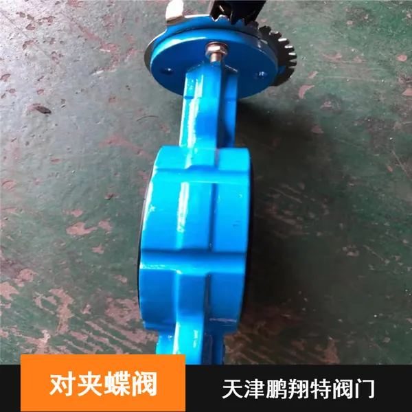 造纸厂供水用鹏翔二通式球墨铸铁对夹蝶阀报价