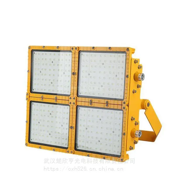 天车作业投光灯ZY-2079-400W 户外LED投光灯 IP66 200W AC220v
