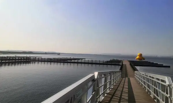 福建游船码头造价一米 真诚推荐 上海旗华水上工程建设股份供应