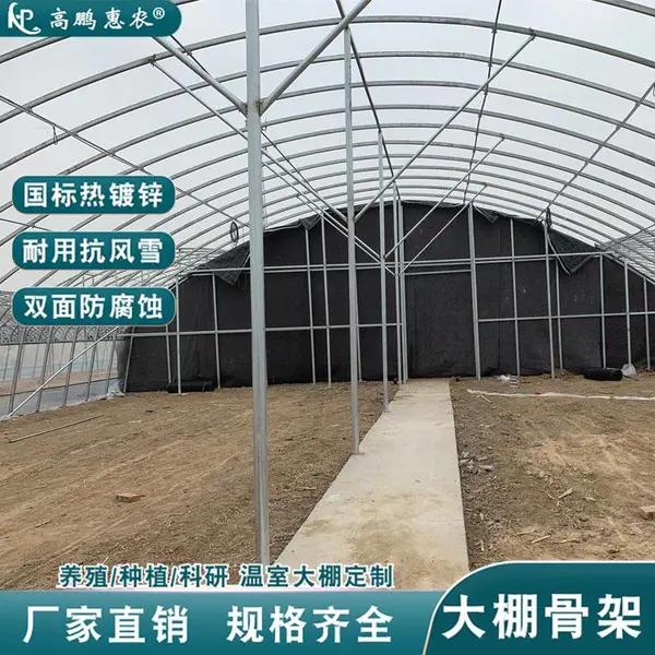 沅陵县西红柿双膜大棚骨架棉被棚膜规格