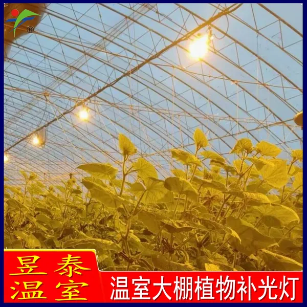 昱泰 温室大棚补光设备 LED生长灯高压钠灯补光灯 YTWSBG10045