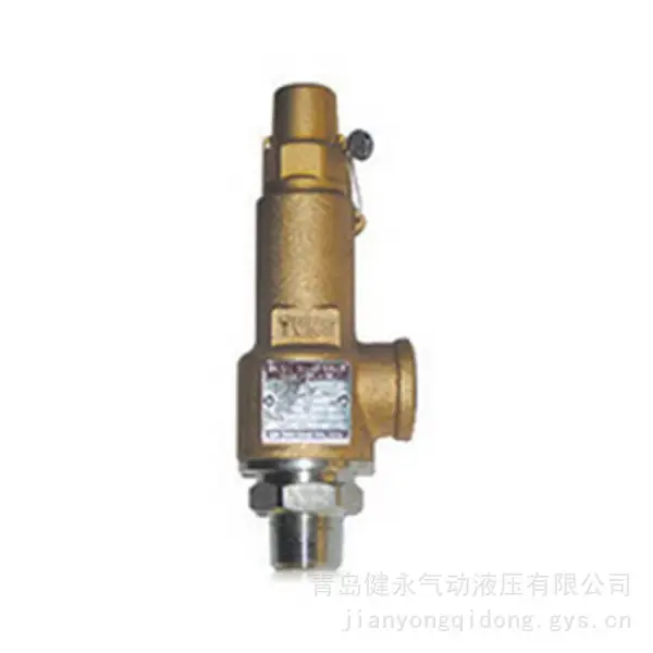 YNV 不锈钢高启升安全阀 HSV-3S/4S PT 螺纹高压蒸汽水油压力容器泄压阀