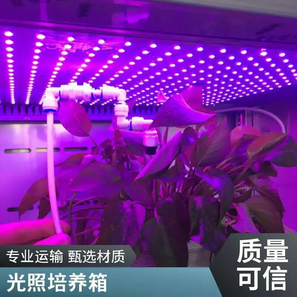 科研单位专用2000L冷光源光照培养箱 植物生长试验箱 厂家质保