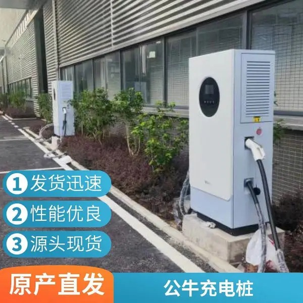公园充电无忧,公牛双枪直流120KW,防水防尘设计