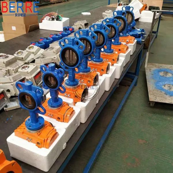 ���ձ���D971X-10 DN80�Լ�ʽ���ܷ�綯����