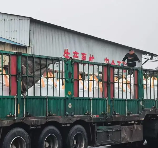 铜矿砂滤料 10-20目 化工废水处理 粒径均匀 现货供应