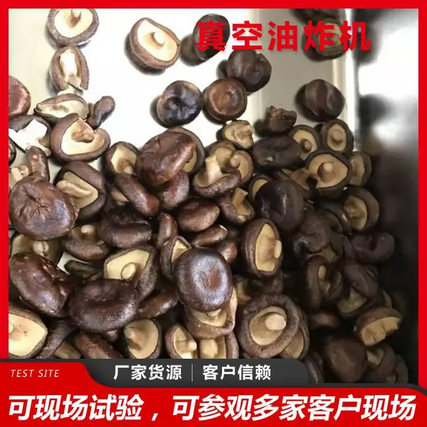 秋葵脆香菇脆 低温真空油炸机源头厂家 联兴机械