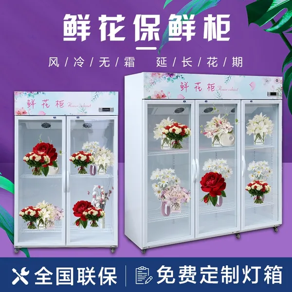��ѩ�ʻ����ʹ� ����չʾ��ع� �����ʻ���ع�