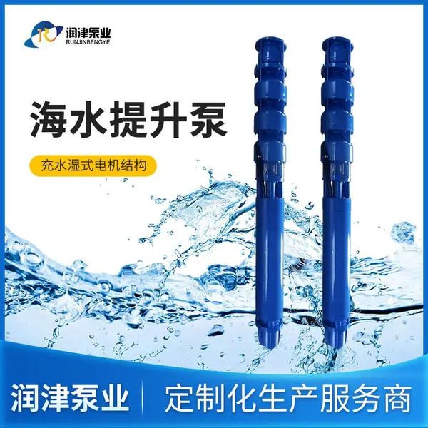 双相钢潜海水电泵 高耐腐高性能 实体工厂安全可靠