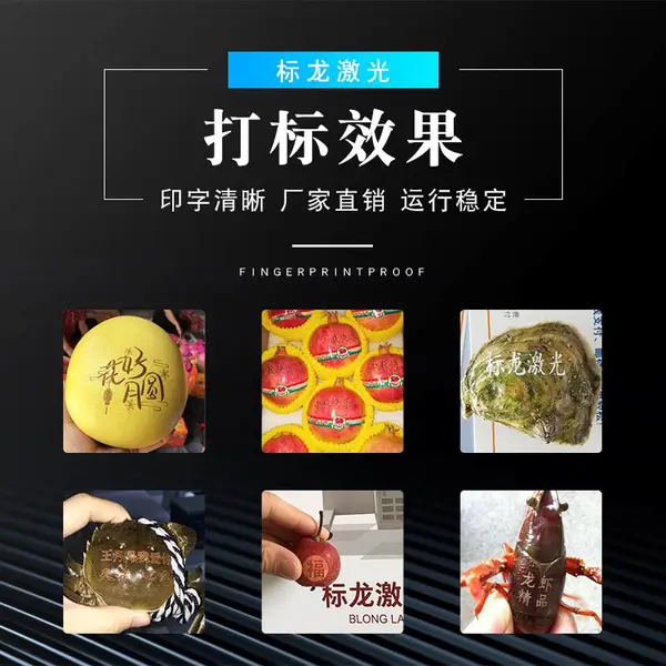 二氧化碳激光打标机水果生鲜雕刻机多少钱一台-标龙激光12年***