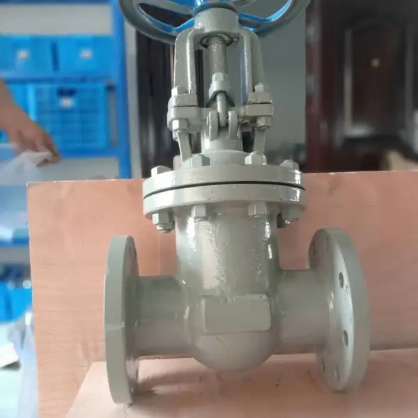 温州生展供应不锈钢闸阀