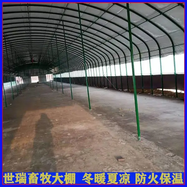 搭建黄牛养殖棚 钢架养牛棚 抗风雪养牛棚建设