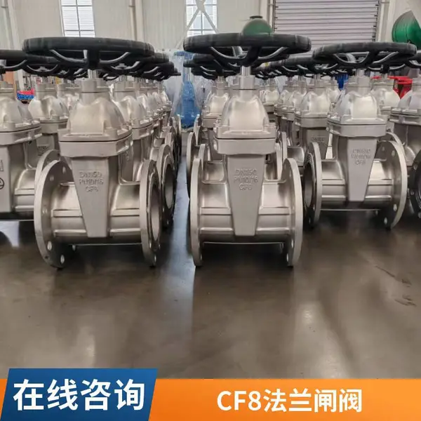 CF8不锈钢闸阀 明杆弹性闸板 DN100 PN16 自来水厂配件