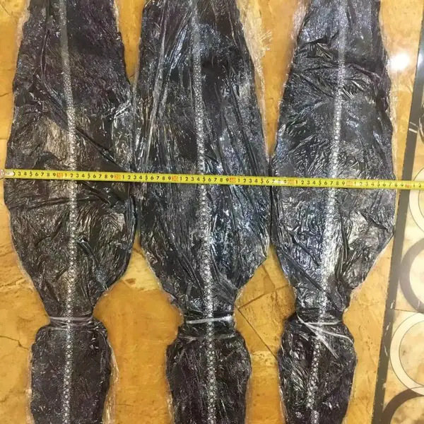 排珠鱼皮 珍珠鱼皮