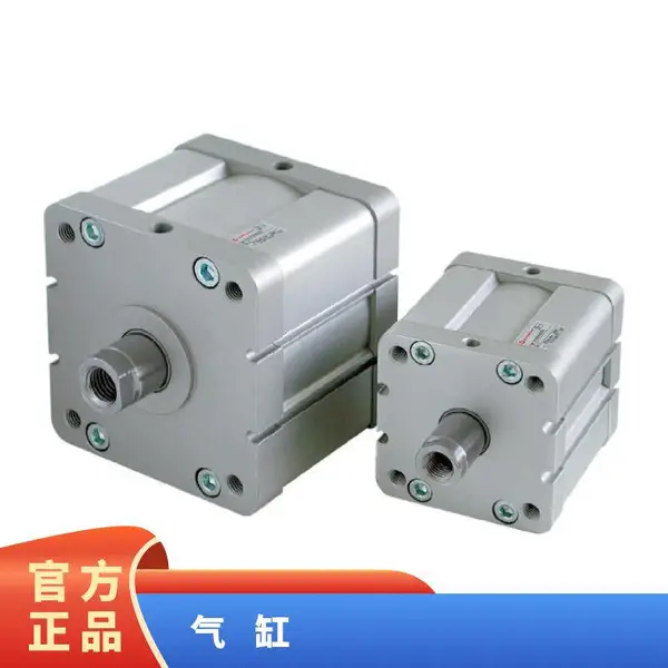 CKD����CMK2-CC-00-CA-40-80-65-75-20-25-50-100-150-200-300/Z