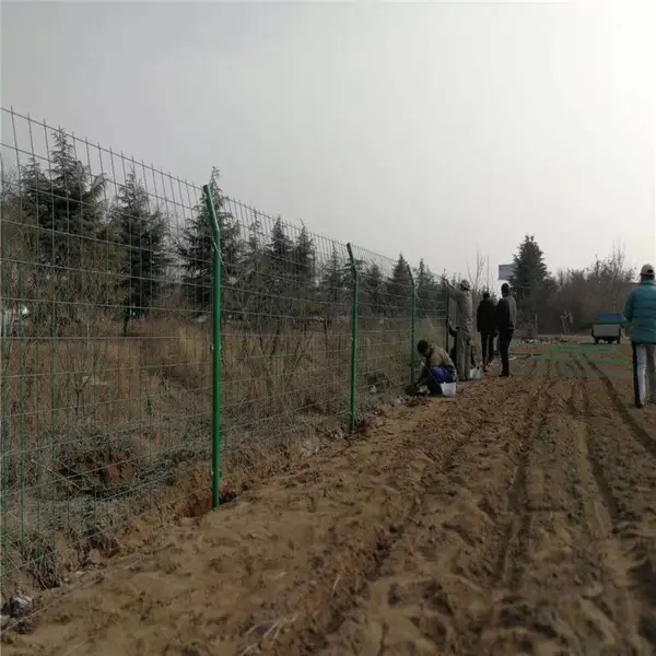 Ȧ�ظ����� ��ׯȦ�ظ����� Ȧ�ظ��������