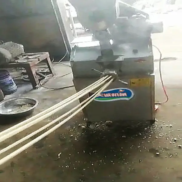 天诚 家用小型自熟面条机 饸烙面机 牛筋面机