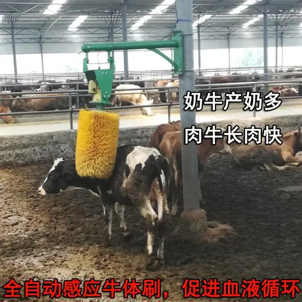 全自动牛体刷批发价 奶牛用智能牛体挠痒刷工作视频