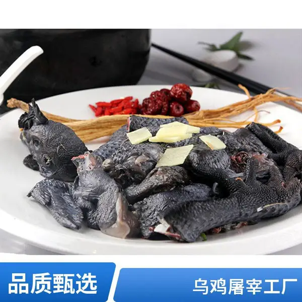 乌鸡乌骨鸡新鲜散养土鸡供应厂家供应每天屠宰2-3万羽可以斩块泰和乌鸡一手三鸟