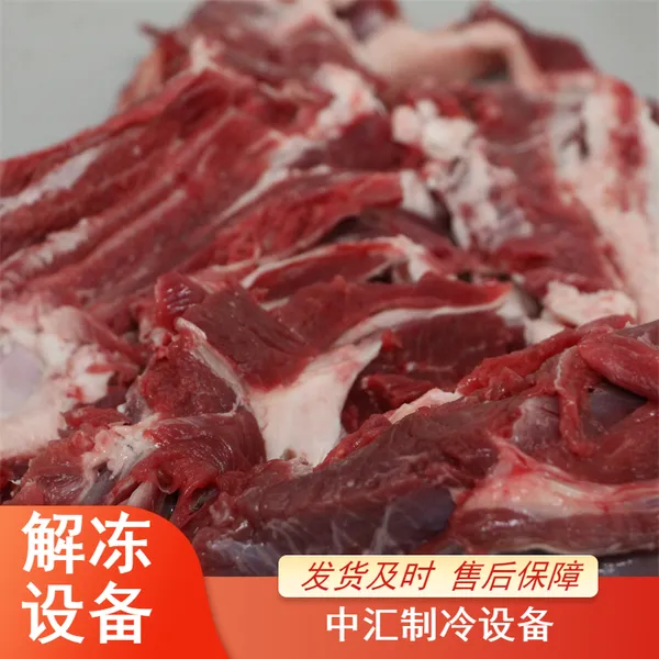 牛四分体解冻设备 牛肉微波化冻设备 肉制品杀菌机械可定制