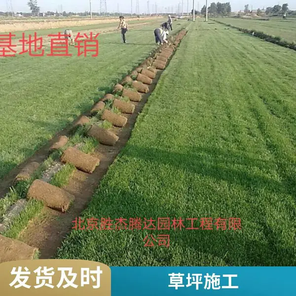 房山草坪铺装户外草坪铺装施工铺装别墅花园设计别墅私家花园绿化