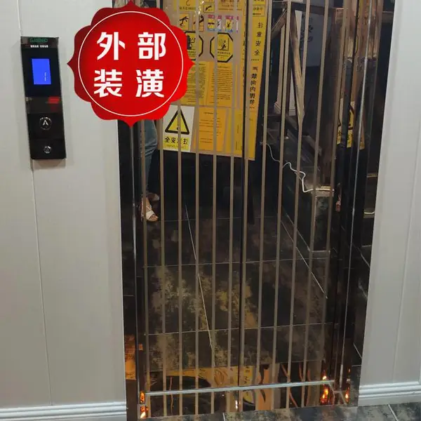 德国帝奥别墅电梯 小型家用别墅电梯 家用电梯 天津实体店