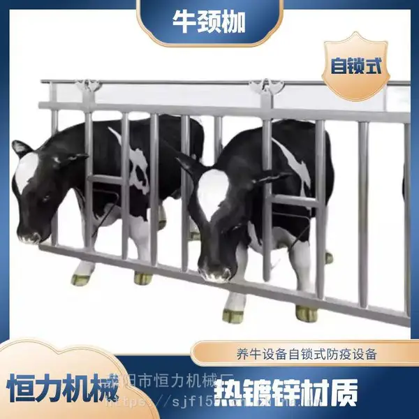 养牛设备牛颈枷 恒力牌育肥牛用牛颈枷 双开牛颈夹生产商