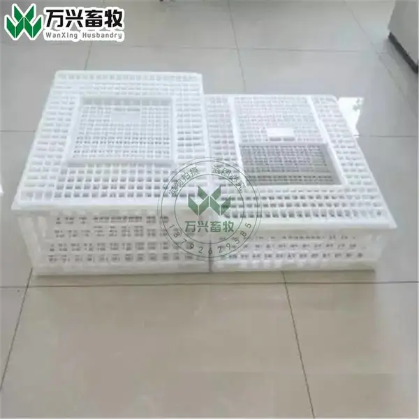 大鸡周转箱 肉鸡周转笼 大鸡笼