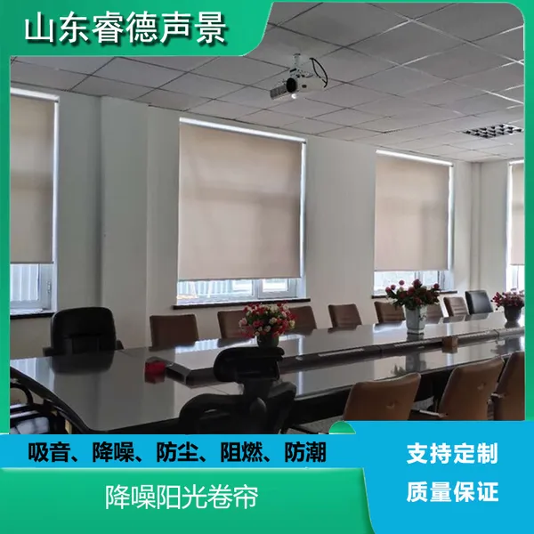 rayde 大厅会议室卷帘 办公室遮光帘 手动拉珠遮光透景升降吸声窗帘