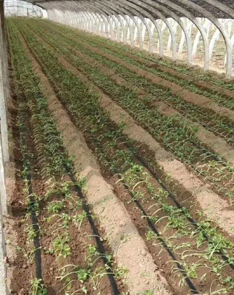 �γ������Թ�ʽ�ι������ָ����װ��������