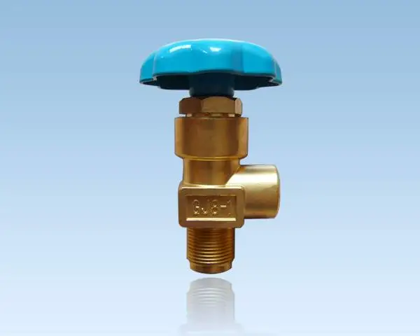液氮储罐抽真空 车用气瓶检测 简易抽真空设备