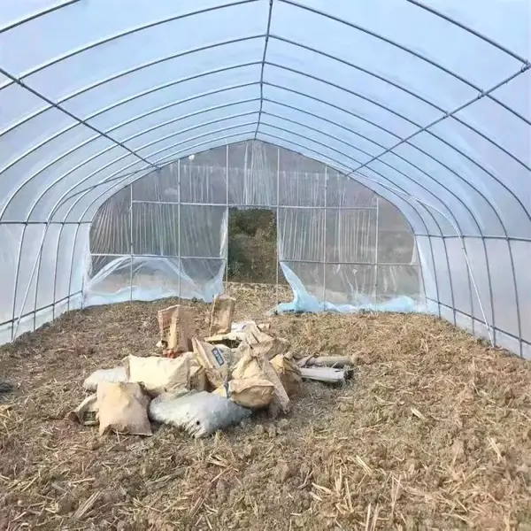 广西南宁 果蔬温室 蔬菜水培大棚 土元单体大棚 智能温控 ZKNN-02