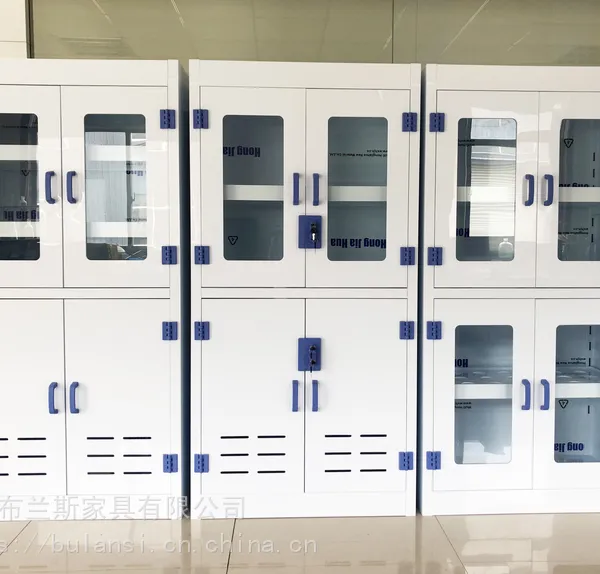 PP样品柜试剂柜酸碱柜药品柜玻璃器皿柜仪器柜防火防爆柜支持定制支持安装北京现货