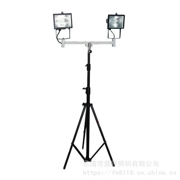 �������� SFD3000B��Яʽ������ҵ�� ±�ٵƹ�Դ 2*500W