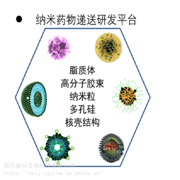 基科生物提供纳米载药靶向递送技术服务