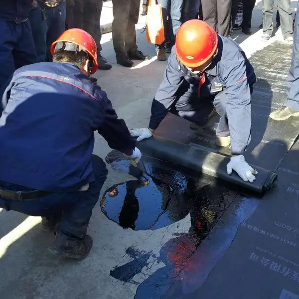 广州庆高建材专业生产和屋顶防水补漏 建筑防水补漏 经验丰富
