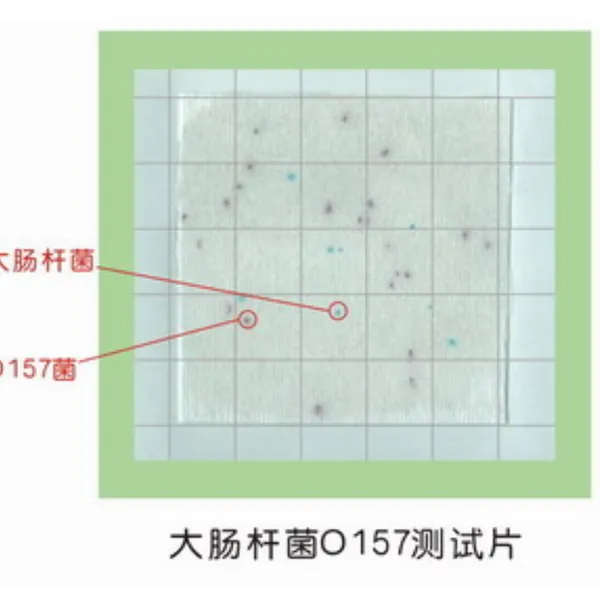 人体体检样品中蜡样芽胞杆菌的检测 蜡样芽胞杆菌测试片 24片/包