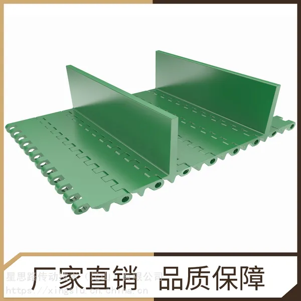 定制提升机专用塑料网带链 加隔板加裙边果蔬分装输送配件耐磨损