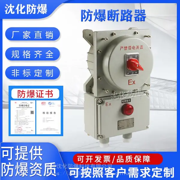 防爆配电箱 4P/80A/100A塑壳断路器 漏电空气开关箱