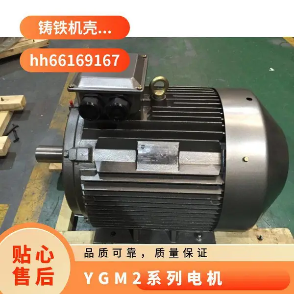 ������ʱ�Ƶ��� YVFE3-4503-4 630KW 660V ����Բ IP55����