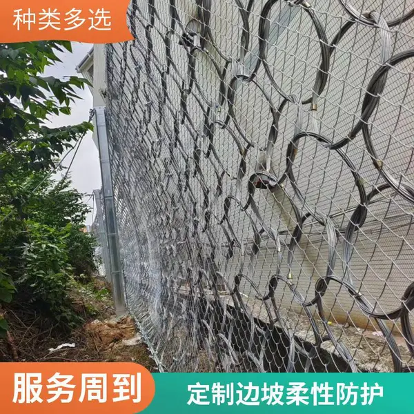 ���ձ���������SNS���Է�����������ʯ����֧�ַ������