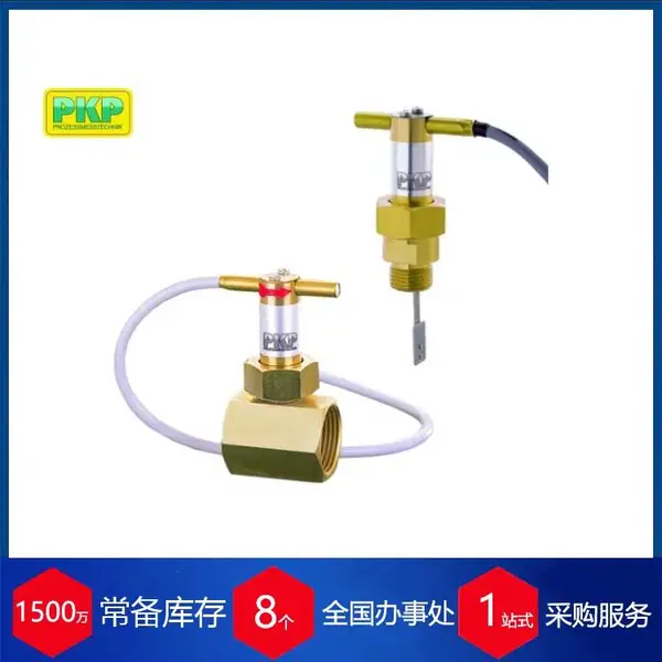 �ն��ɴ����¹�PKP��ʽ������DP02��ԭ���ɿ�����ѹ���