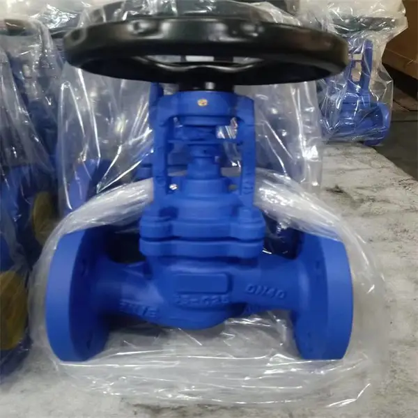 WJ41H-16C DN20 德标波纹管截止阀铸钢不锈钢蒸汽法兰式