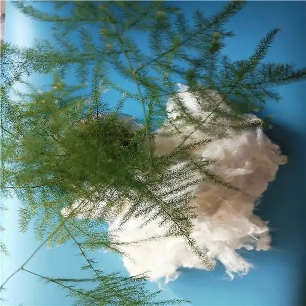 竹纤维的成分 旭正纺织 可降解纤维棉参数 填充棉保暖功能 针刺棉毡