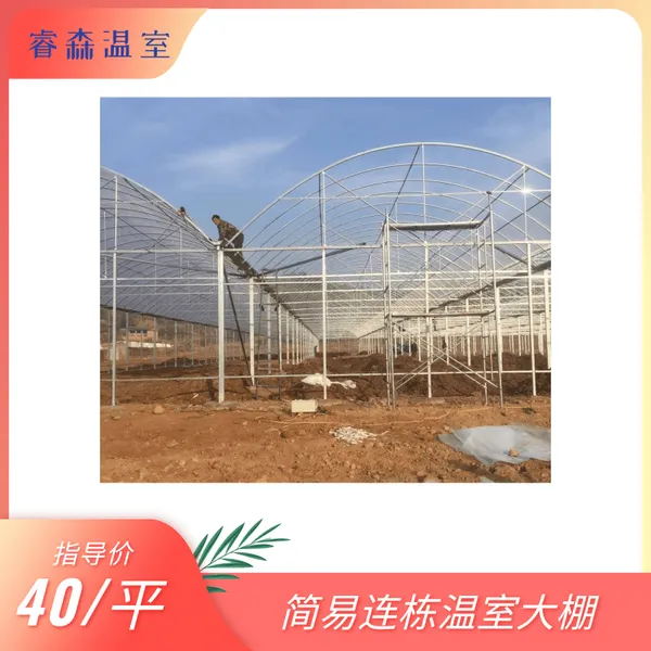 薄膜温室 连栋大棚 日光温室 大型温室